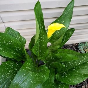 Meet your Posher, Jan